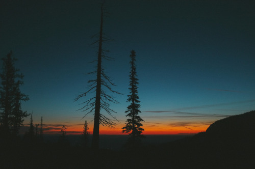 alcyere:Sunrise (by ttwice)