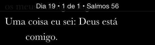 amorporvoce