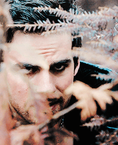 colinodonighue:Faves hiding in bushes is my aesthetic. ( ﾉ^.^)ﾉﾟ