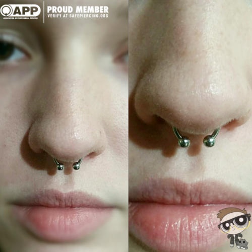 codymatthewpiercing:  Fresh septum for this lovely young lady! Jewelry from @anatometal