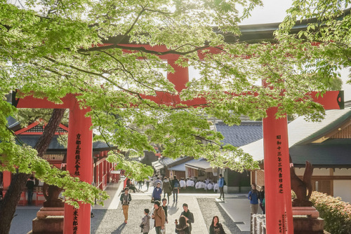 ileftmyheartintokyo:千本鳥居-Torii by Colorful World~ on Flickr.