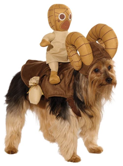 ki77enaids:  Star Wars costumes for all the puppies! Pre-orders available here. 