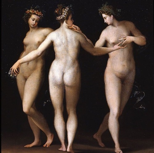 mesogeios:Three Graces (1570 circa), Francesco Morandini (known as Poppi), oil on copper. The Uffizi