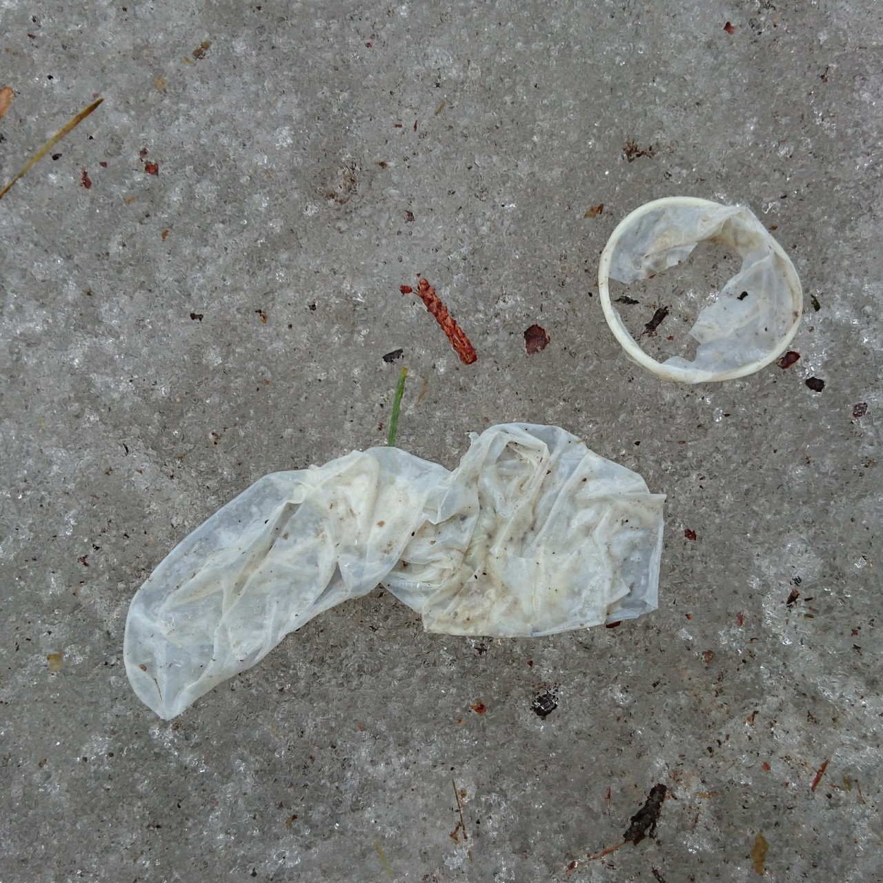 condom-hunter:  Condom hunting team. 5 used condoms found. 😉 2 well filled! 😜