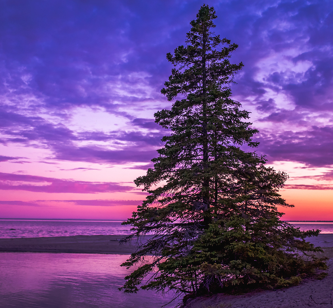 coiour-my-world: Lone tree sunset | Lake Superior of the great lakes