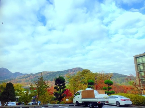 It’s Fall change to Winter  My University for Korean language