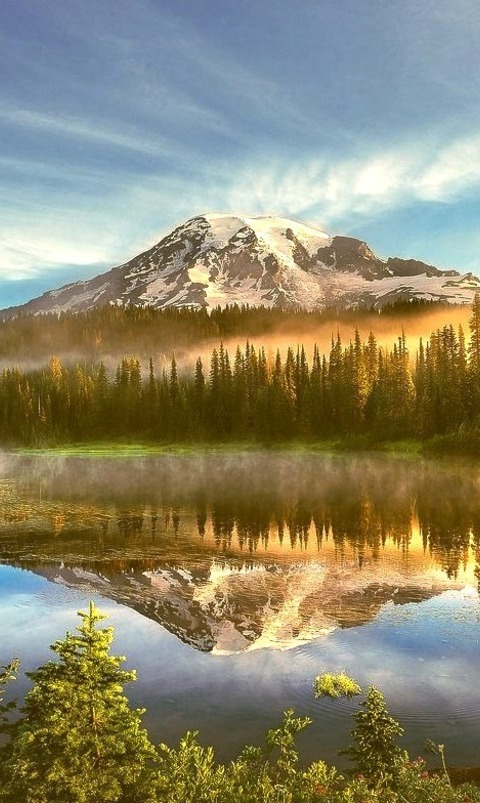 Mt. Rainier National Park, Washington