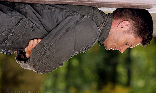 lokistimetravelingsassbutt:  avengerwhoviantributesassemble:  winchesterandwinchester:  I was trying to flip this cap vertically but then this happened and my first thought was ‘like mother like son’ and now I’m laughing  Go to your room!!!!!!! 