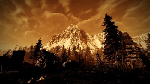 witcher photography