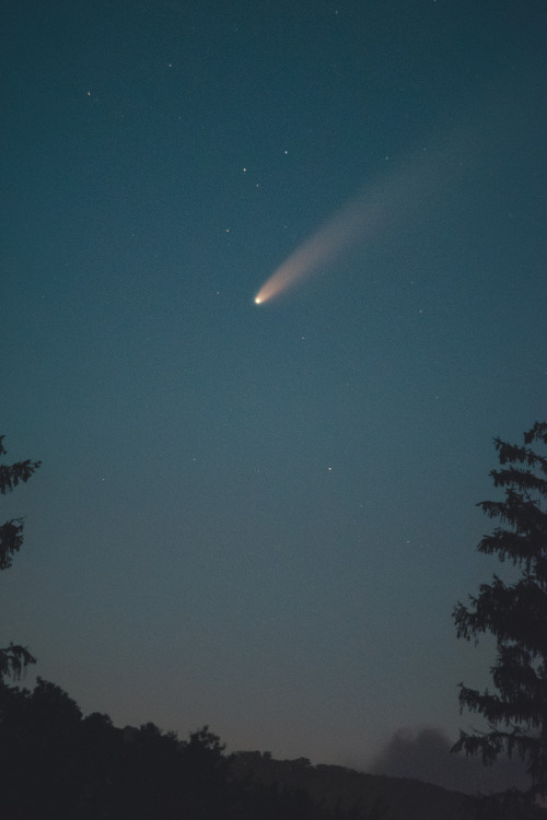 coreydouglasphotography:Comet NEOWISE in twilight. Northeast PA   More at www.coreydouglas.comInstagram | Facebook