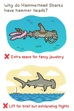 birdandmoon:  Hammerhead sharks are amazing, beautiful, and globally endangered. Learn more about them at sharktagging.com. Original comic is on my site here. 