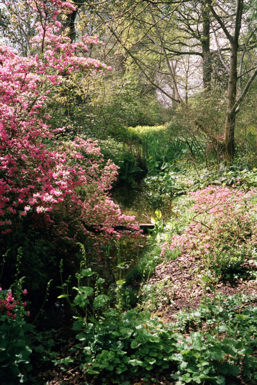 ladempsey: RHS_08 on Flickr. Royal Horticultural Society headquarters. Wisley, England.