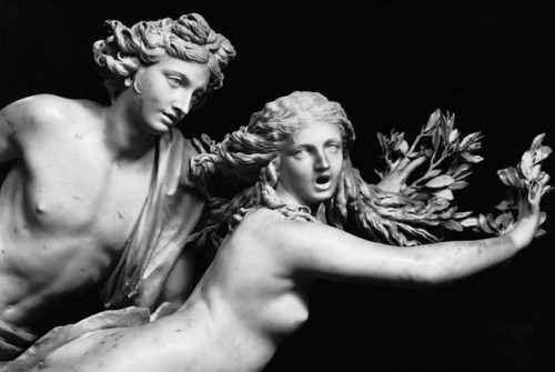 januaryou:Apollo and Daphne (1622-25) Bernini