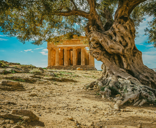 mostlyitaly:Agrigento - Valle dei templi (Sicily, Italy) by Alfio Finocchiaro