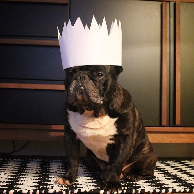 findpolaroidpicsfromig:  Le KING de la #galettedesrois c’est Charly🎈 