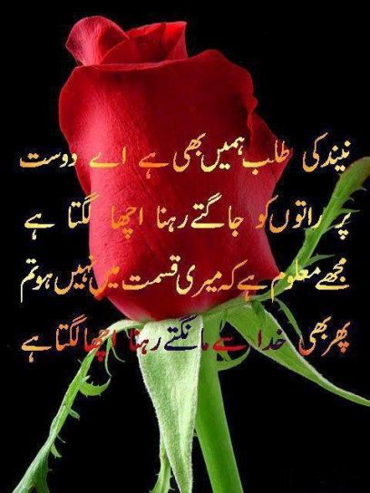 poem on red rose in hindi