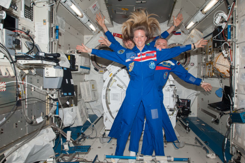 womeninspace:Space Women in 2013The earth has made yet another round around the sun. And what a year