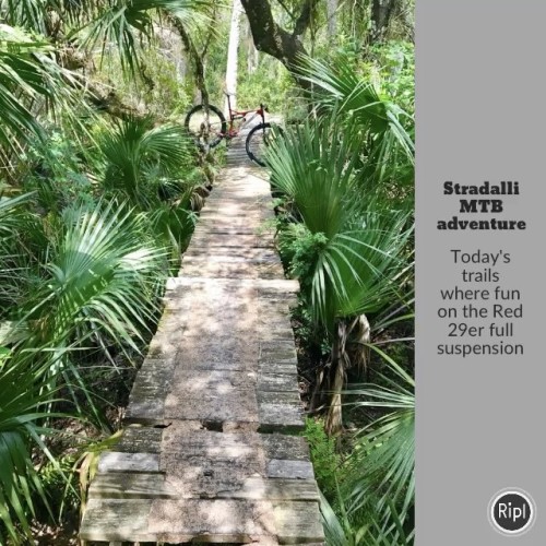 Today&rsquo;s ride was a blast on the Red 29er full suspension Stradalli #florida @stradalli_cycle@s