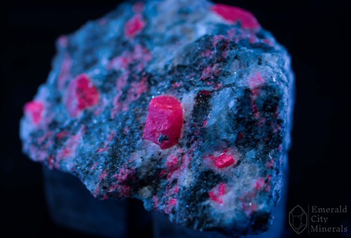 Fluorescent vermillion Corundum var ruby (Al2O3) in schist matrix under long frequency UV light. Fro