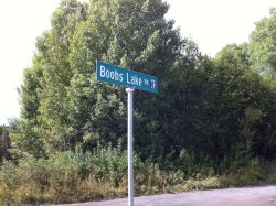 m-is-for-magpie:  honky-tonk-badonk-adonk:  lol-post:  Well I know where I’m going motor boating this weekend.  I’m laughing so fucking hard   New summer home location.