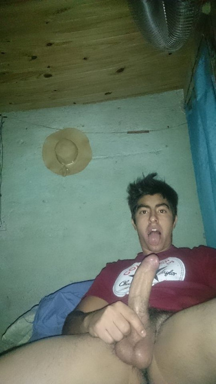 zaiidd:  Buen aporte