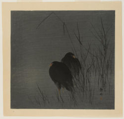 ”Two Moor Hens,” c. 1900–1913, by Okuhara