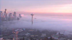 softwaring:  Fog rolling into Seattle, taken by local weather cam.