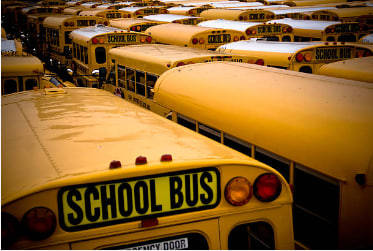 Why Kenyan and US School Buses Are Yellow in Color