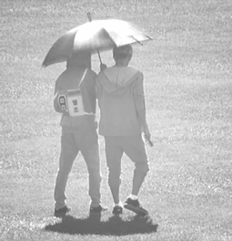 ljoes-penus:  Don’t worry,we’ll get through this rain together. 