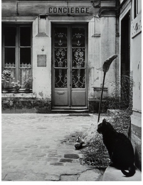 Janine Niépce (French, 1921-2007, b. Meudon, France) - Le Chat de la Concierge, Rue de Tourmon, Pari