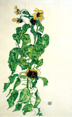 dappledwithshadow:  Egon Schiele Sunflowers1917
