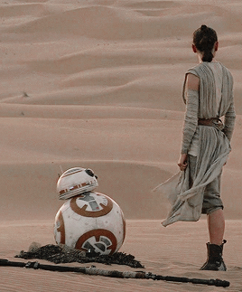 the-apple-is-the-fruit:Rey.The Scavenger.