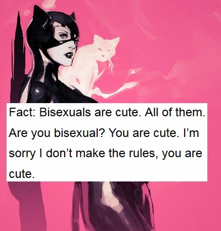 bluecoati:  rightpropervillain:  halbarry:  friendly reminder that catwoman is canon