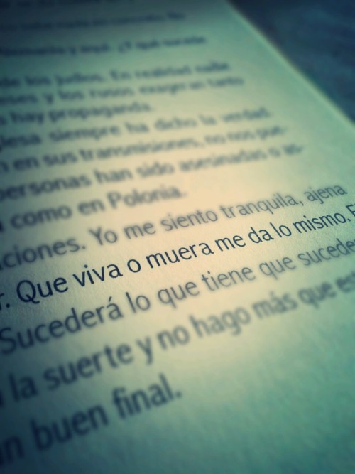 tumblr photo aurevoirlml 0