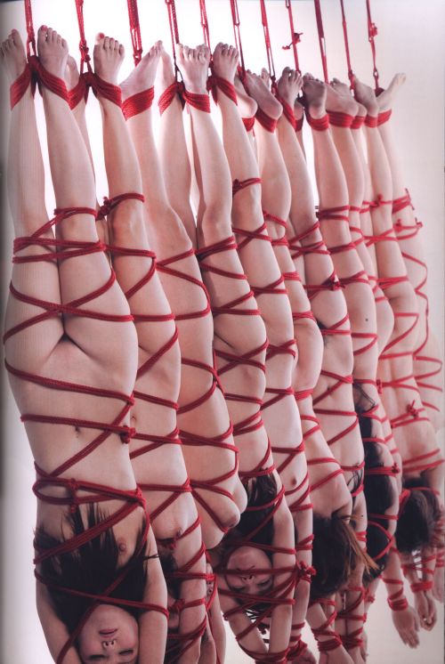 jamesusilljournal:                   Hajime Kinoko     