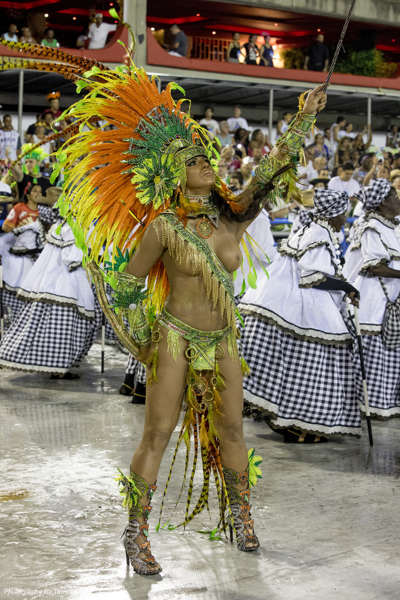   Carnival in Rio De Janeiro 2017, by Terry George.  