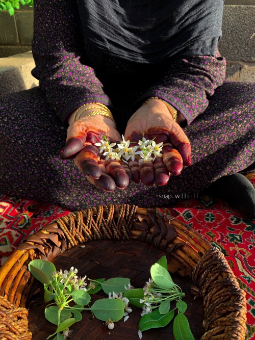 deerwadha:I miss my grandma 💔Photographed by : أبتسام الشهري