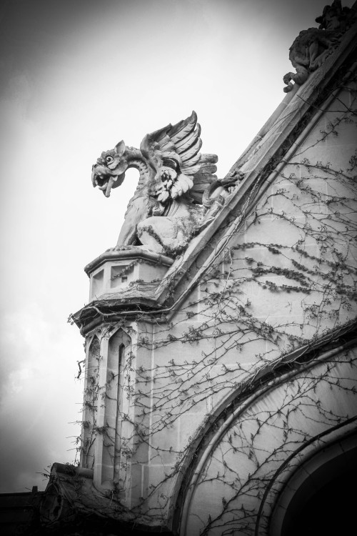 UChicago College Admissions