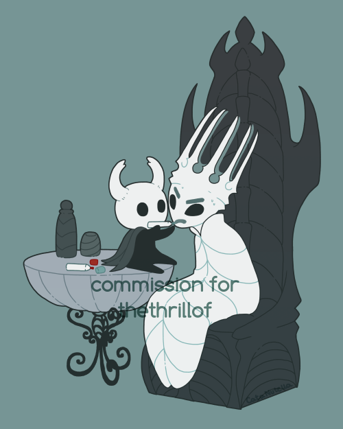 Some Of The Hollow Knight Commissions Ive Done!