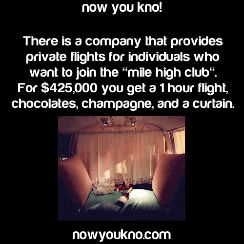 lifehackable:  nowyoukno:  NowYouKno.com All of the most interesting and amazing