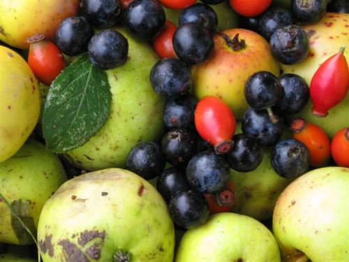 morigrrl: Natural food - Rosehips, sloes and crab apples