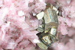 bijoux-et-mineraux:  Rhodonite with Pyrite and Sphalerite - San Martin Mine, Chiurucu, Huallanca, Ancash Department, Peru 