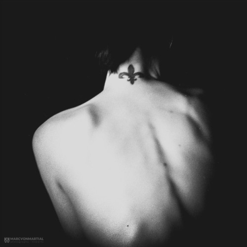 6-4s: le lys noirs  by marcvonmartial