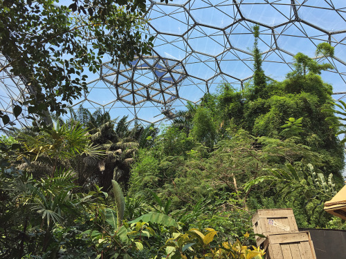 viksalos: The Eden Project: botanical gardens, art installations, and educational facility in C