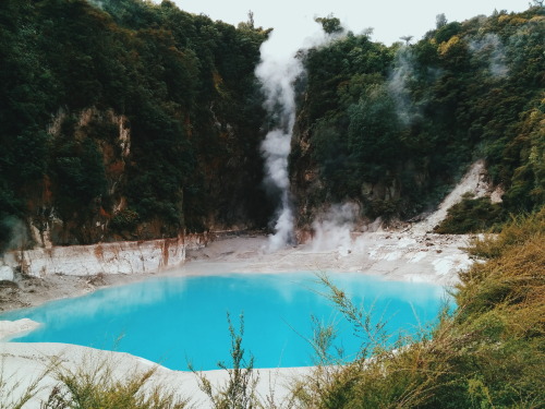 aratrikag05: Steamy and vibrant geothermal landscapes from Rotorua.