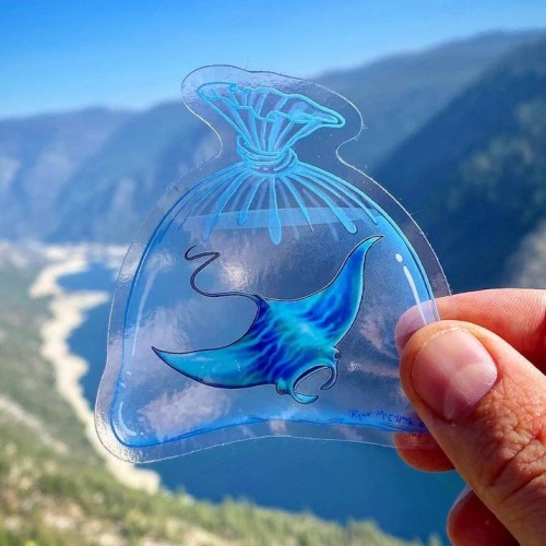 sosuperawesome:Clear Waterproof StickersRyans Critter Art on Etsy