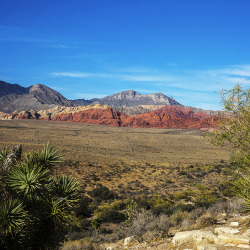 lasvegas:Fresh air, fresh persepective. ⛰ Red