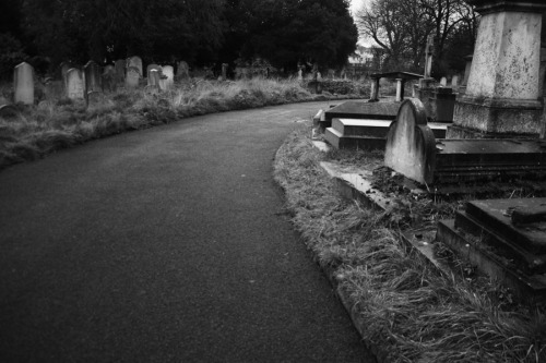 spookyloop:withinthe-silence:Brompton CemeteryI miss walking through this every day. It was such a r