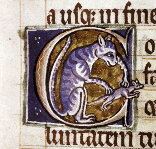 initial cat Psalter, Canterbury ca. 1210-1220.Bodleian Library, MS. Ashmole 1525, fol. 14r