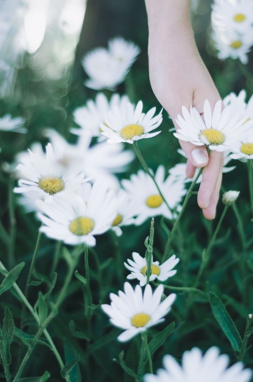 *gestures to plant*